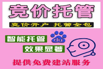 SEM推广实战：案例分析及效果评估